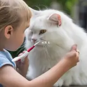 怎样才能让猫愿意配合你进行清洗鼻部的行为呢？