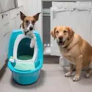 应该选择哪种类型的狗狗厕所设备？