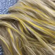 狗毛为什么会变成黄色？