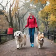 对于那些喜欢在家中遛狗的人来说有哪些简单的建议可以帮助他们更好地与他们的狗相处并保持健康的习惯？