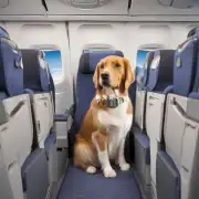 哪些航空公司允许乘客携带活体宠物在机舱内？