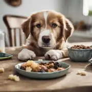如果你的宠物狗已经成年了那么它的饮食习惯与幼年时期的差异在哪里？