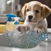 小狗为什么会喜欢吃肥皂？