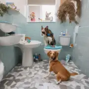 宠物狗在家里上厕所的时候会发生什么？