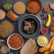 如果您想要给比熊犬提供营养均衡且健康的生活方式建议购买哪种类型的狗粮或猫粮？