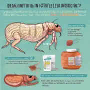 哪些药物可以用来治疗跳蚤感染病？