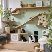我可以将我的家改造成一个适合养猫的地方吗？