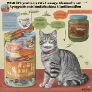 如果你的猫总是拉肚子或消化不良该怎么办？