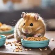 你需要了解关于小仓鼠进食固体食物方面的问题吗?