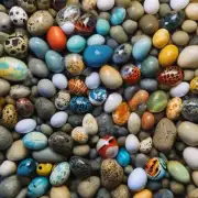 问如果我将鸡蛋和石头放在同一个水族馆中鸡蛋会孵化吗?