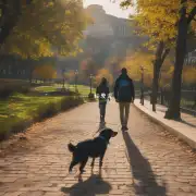 如何教狗狗跟随你如在公园散步时要让它跟着你走呢?