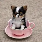 正宗茶杯犬是一种中型犬还是小型犬?