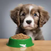 如果小狗已经一岁了现在应该吃多少份狗粮呢?