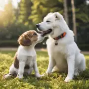 如何培养狗狗对其他动物的友好态度?