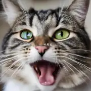 猫如何利用嗅觉来识别不同动物的语音?