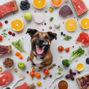什么食物对狗有益处？