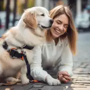 如何使你的宠物狗更加友好亲近人类？