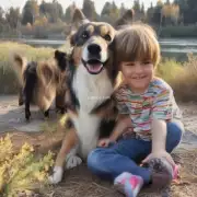 如果你已经有了一个孩子并正在寻找一只适合与之相处的好伙伴的话你会怎么挑选合适的狗狗种类呢？