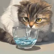 如果一只没有经验的小猫第一次尝试饮水时出现了呛咳的现象怎么办呢？