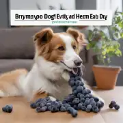 一只中等大小健康状况良好的狗每天可以吃几颗葡萄？