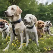 什么是基因突变或变异在狗中导致了某些特定品种的存在吗？这些突变是否对动物健康有影响？