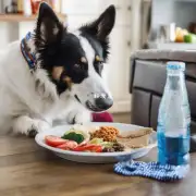 为什么一些狗只喜欢吃某些特定的食物或饮料而拒绝其他食品？