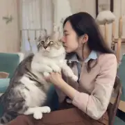 触摸猫的原因是什么？