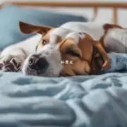 为什么一些狗会在家里打盹时还会咬枕头或被子？