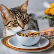 如何理解猫在进食时表现出的行为特征？
