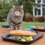 这里有一种食物配方是适合给布翁猫吃的吗？