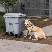 为什么有些狗会喜欢翻垃圾桶？