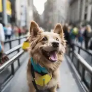 研究表明狗是否会因为看到特定的人而感到特别高兴或者兴奋？如果是的话这些人通常是谁？