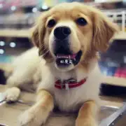 为什么有些宠物店会出售患有脑炎的犬只呢？