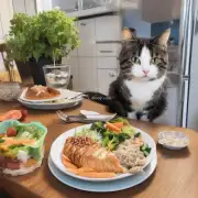 如果我们看到自己的宠物猫在进食时出现不适应的情况应该怎么办？