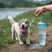 如何确保你的狗狗每天都有足够的水分摄取并避免脱水症状？