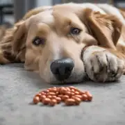 狗吃了打虫药后能正常进食吗？