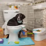 狗为什么会在厕所里吃东西？