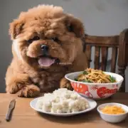 一个月大泰迪狗每天应该吃几顿饭呢？