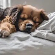 如果我的小狗在睡觉的时候喘气的声音很大且频繁这可能是什么原因呢？