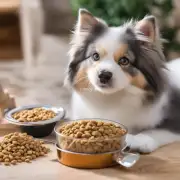 有没有特别适合老猫或幼犬食用的配方狗粮呢？