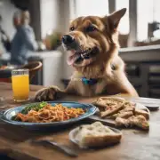 为什么狗喜欢在特定时间吃饭而不是随意进食呢？