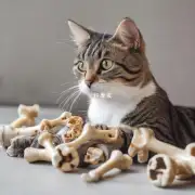 为什么有些猫咪喜欢啃骨头和玩具而另一些则不喜欢呢？