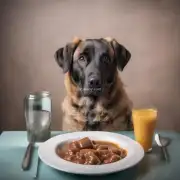 为什么狗在吃饭后会拉肚子？