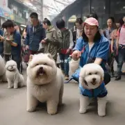 年的时候中国的狗产业规模有多大？