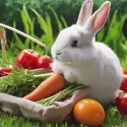 我们应该如何准备宠物兔的食物吗？