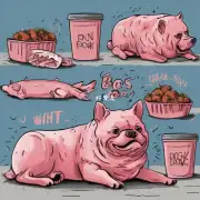 狗为什么不能吃猪肉？