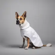 为什么狗不喜欢穿白色衣服？