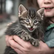 为什么小猫会咬人？