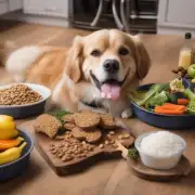 如何控制食物摄入量以减少狗狗的体重？