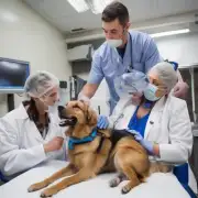 有没有一种方法可以让狗狗更容易接受兽医检查治疗以及手术等医疗程序呢？